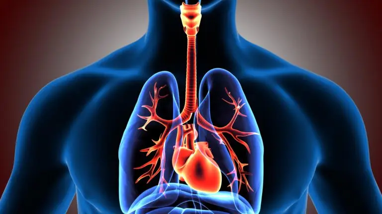 Lung Transplants and Social Security Disability