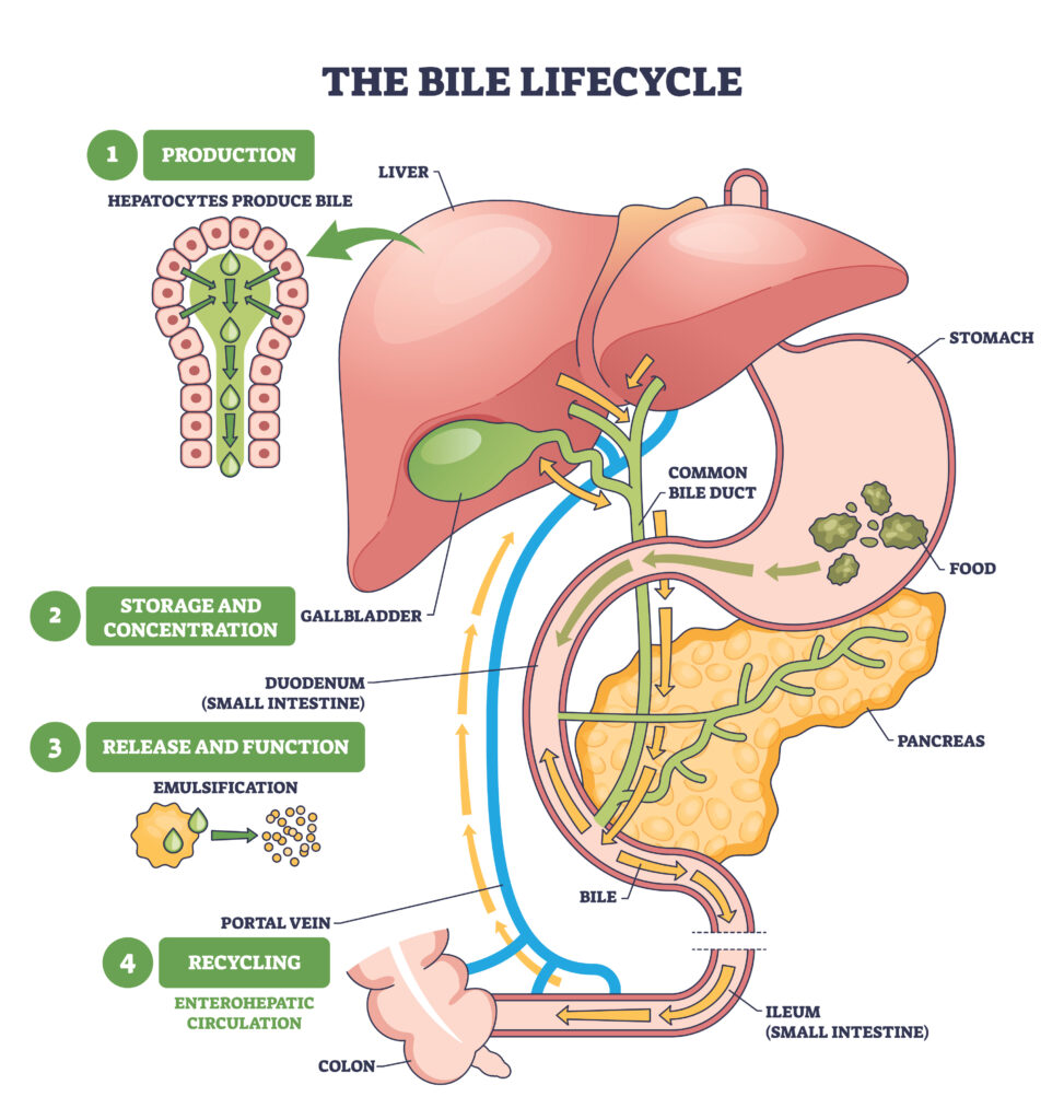 Bile Acid Malabsorption and Social Security Disability