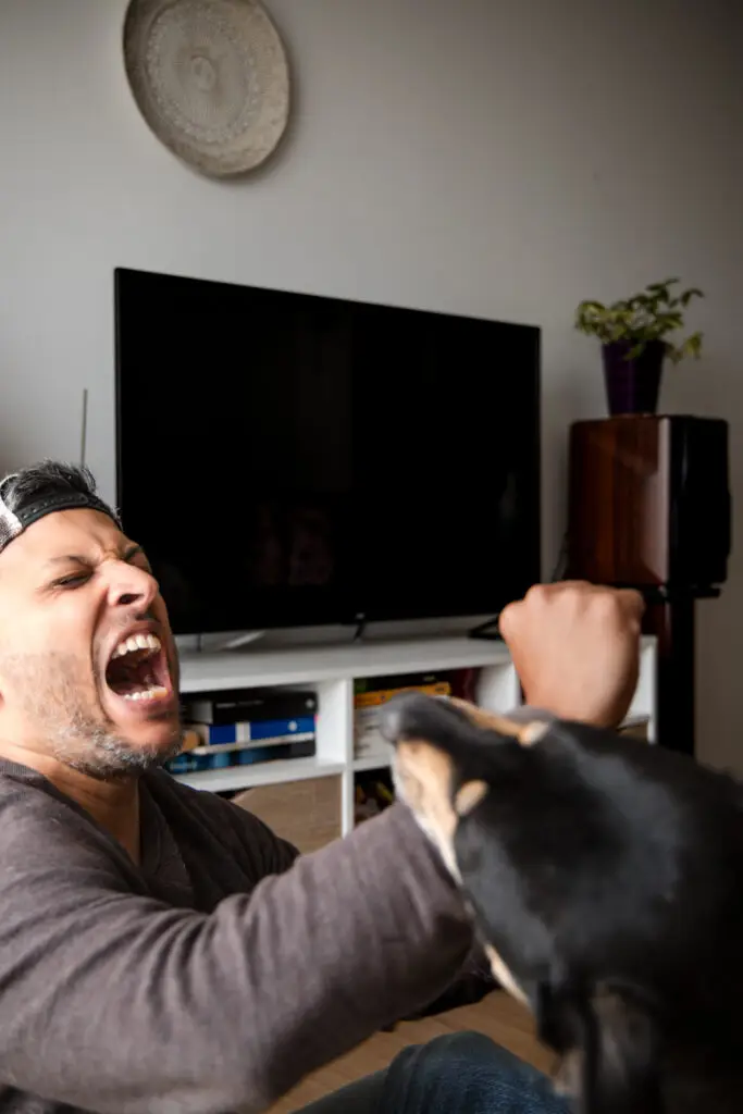 What is a Dog Bite Case Worth in Texas