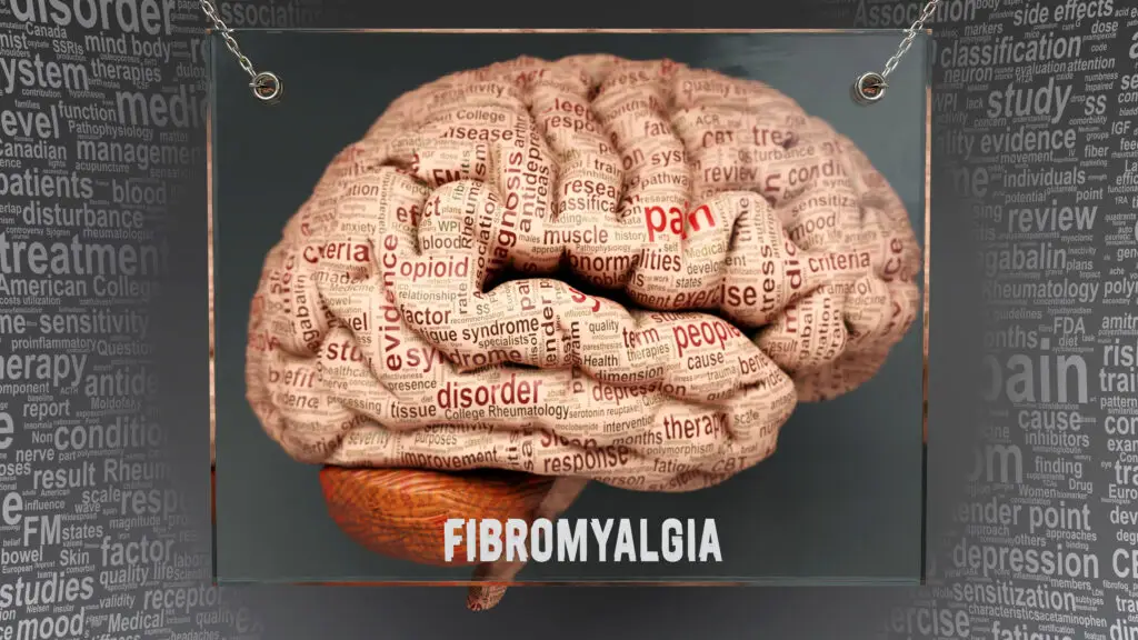 residual functional capacity for fibromyalgia SSDI