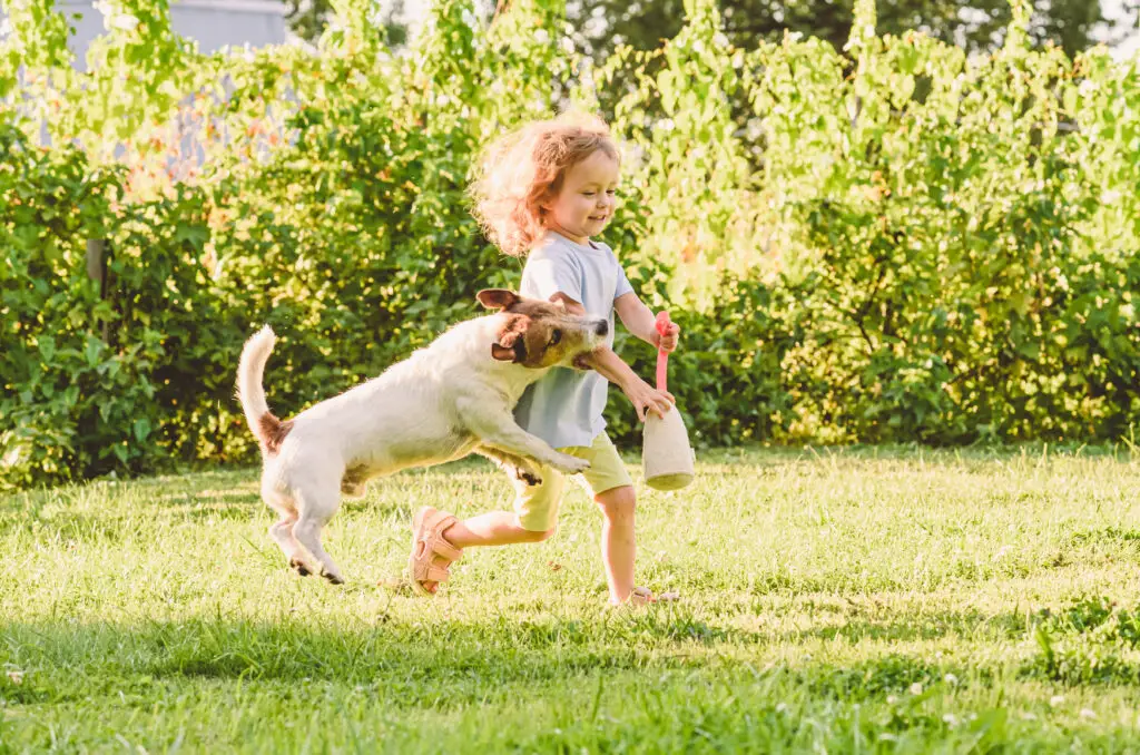Dog Bite Injuries in Children