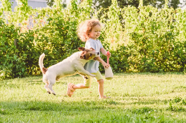 Dog Bite Injuries in Children